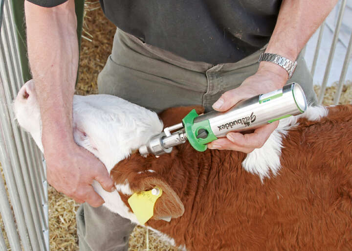 KERBL Gasenthorner GasBuddex